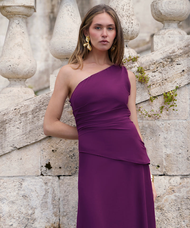Plum Bravia Dress