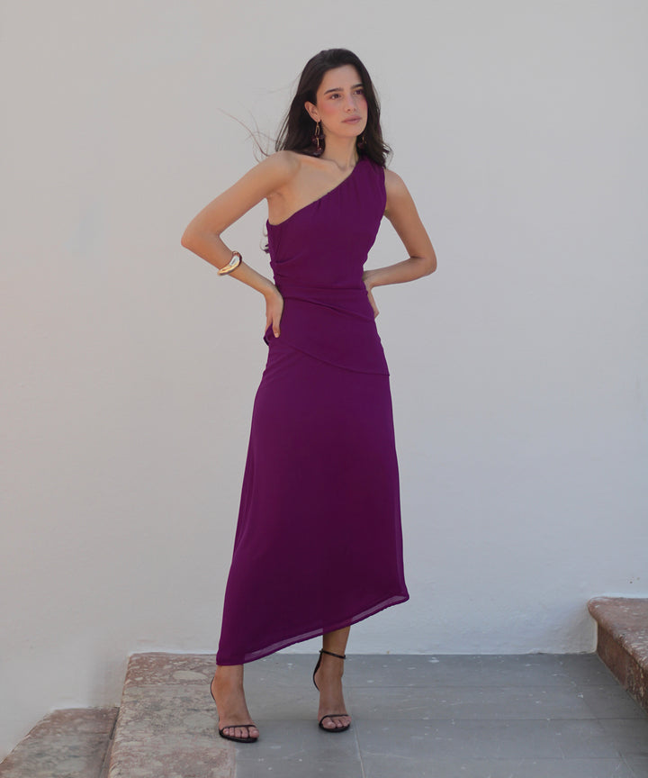 Plum Bravia Dress