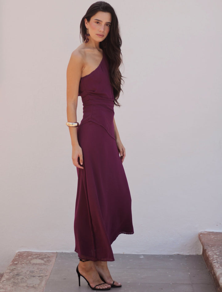 Plum Bravia Dress